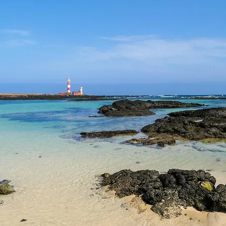 Esencia Tropical Fiber And To 1 Minute * Cotillo