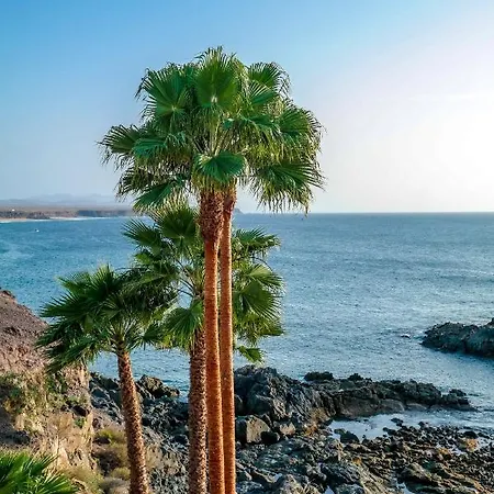 Esencia Tropical Fiber And To 1 Minute Apartment